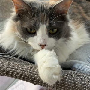 Meet your Posher, Fleur